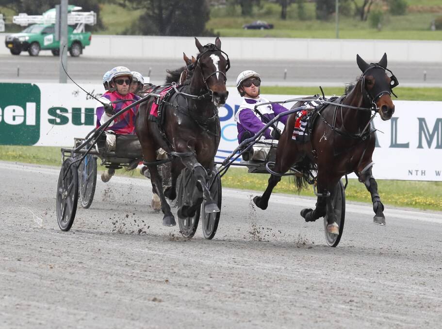 Viking driven by David Moran narrowly edged out Lets Turn It On driven by Sam Hewitt in the Sky Racing Active 2yo Pace at the Riverina Paceway on Friday. Picture by Les Smith