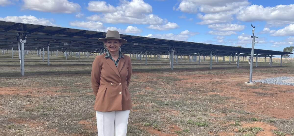 Member for Farrer Sussan Ley pictured at Casella Family Brand's new solar array in Yenda on April 9. Picture by Allan Wilson