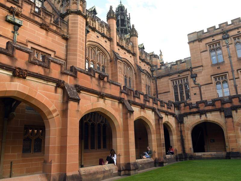 More than 100 staff and students reported sexual misconduct to the University of Sydney last year. (Paul Miller/AAP PHOTOS)